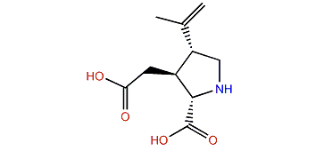 (2S,3S,4R)-3-(Carboxymethyl)-4-prop-1-en-2-ylpyrrolidine-2-carboxylic acid